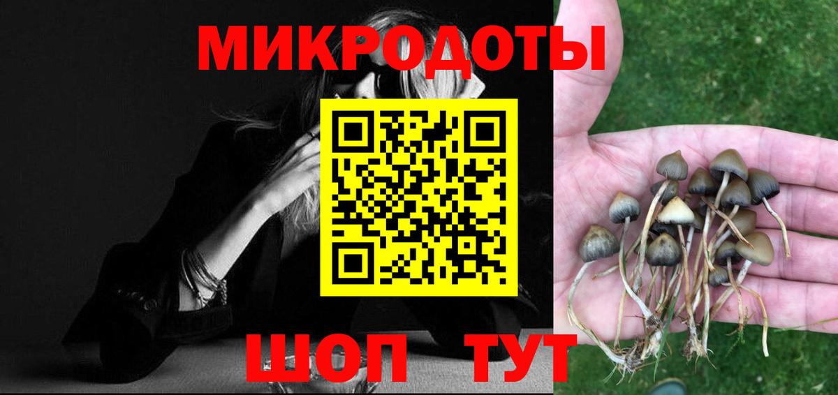 Псилоцибиновые грибы Psilocybe  Вход с VPN  Нижнекамск 